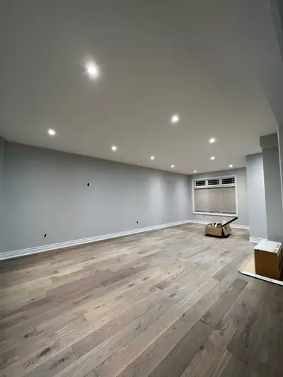 Professional Painters , View more