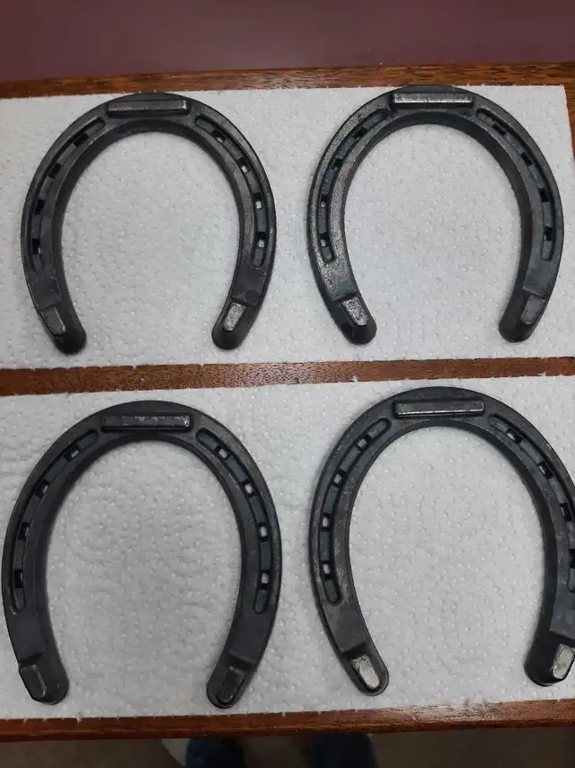 HORSE SHOES - DIAMOND 