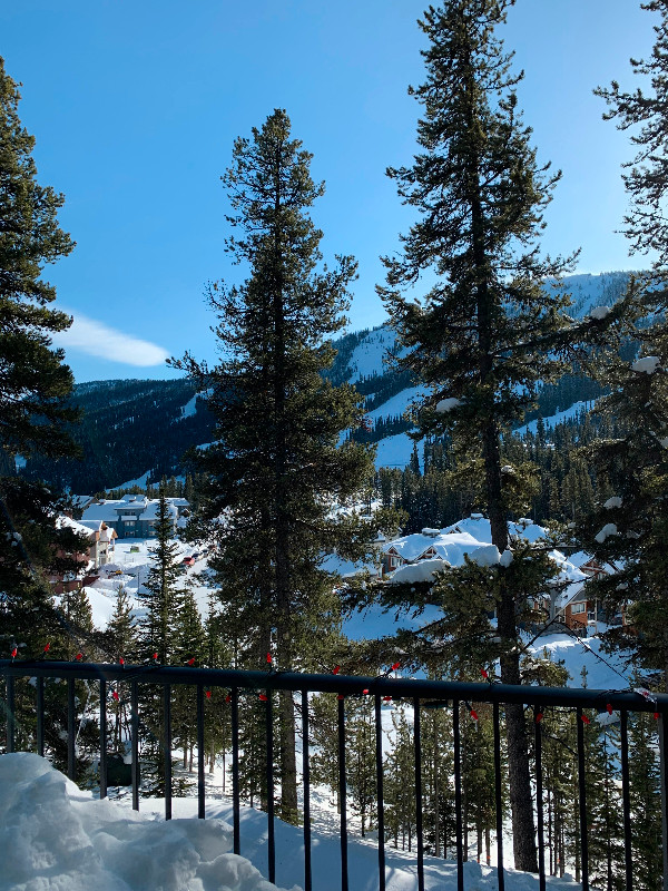 Mountain Oasis - fully furnished, quiet and cool 2 bedroom in Long Term Rentals in Penticton