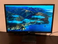 LG 24" Monitor