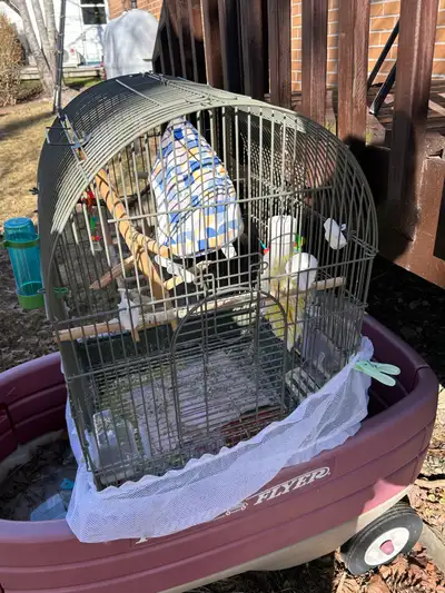 Bird Cage- used , View more