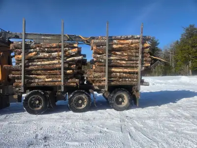 ico logs hardwood for processing , View more