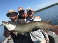 Lake of the Woods Fishing -Guided Trips