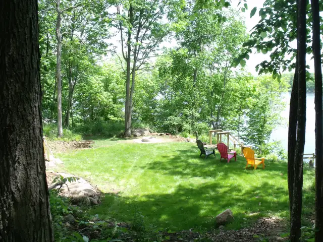 Private Cottage on beautfull Bobs Lake in Ontario in Canada - Image 9