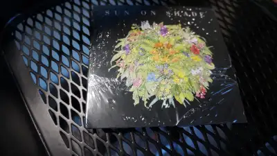 SUN ON SHADE CD, View more
