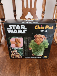 Star wars Ewok chia pet 