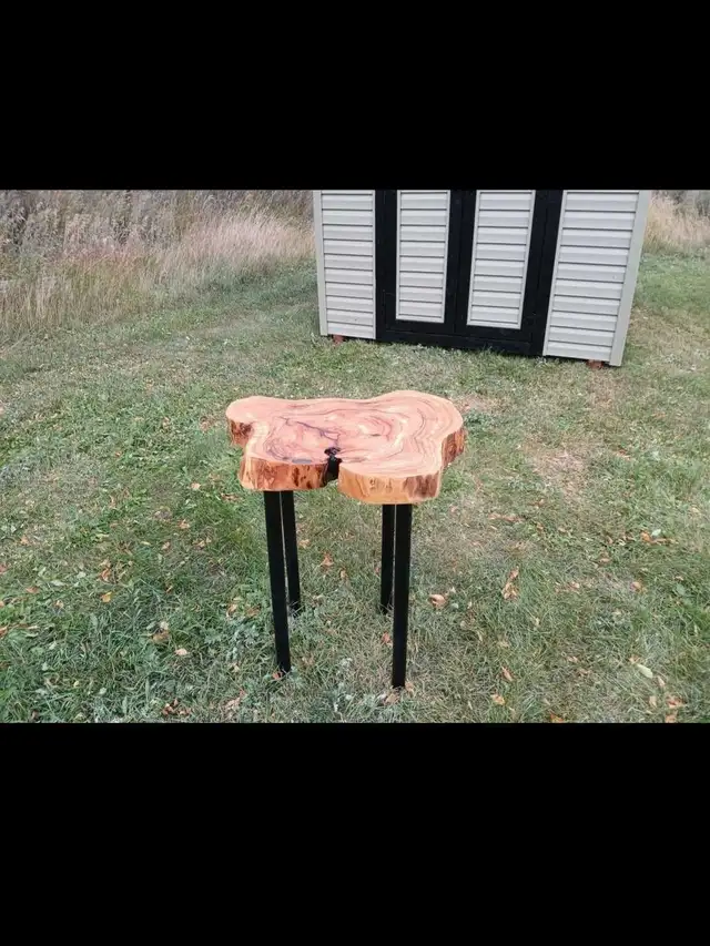Unique Custom Live Edge Table in Other Tables in Regina - Image 3