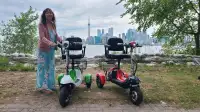 Portable Electric Scooter on Sale for only $1800, Brand New!