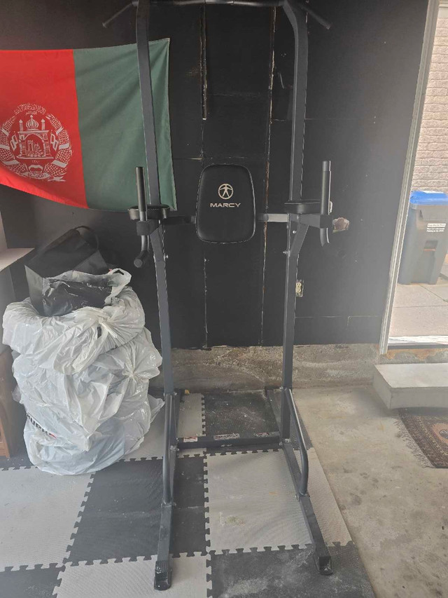 chin up and dip machine in Exercise Equipment in Mississauga / Peel Region
