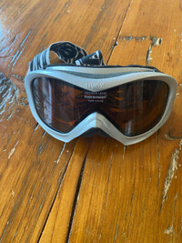 Motorcycle/ATV/Ski goggles
