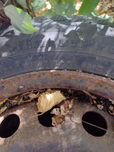 Text 905-373-8243 tires are in the Grafton area asking $40 for the set size 21560R16 winter tires on...