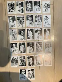 1974 TCMA 1934 St. Louis Cardinals baseball card team set (31)