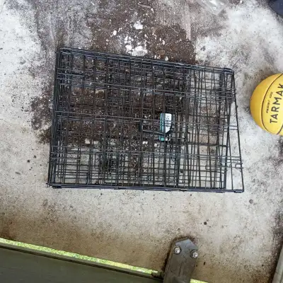 dog crate no tray, View more