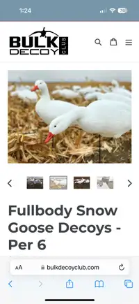 1 Dozen New Full Body Snowgoose decoys