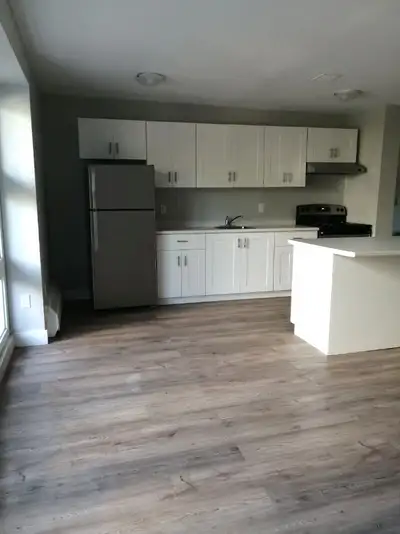 1 BEDROOM APARTMENT FOR RENT