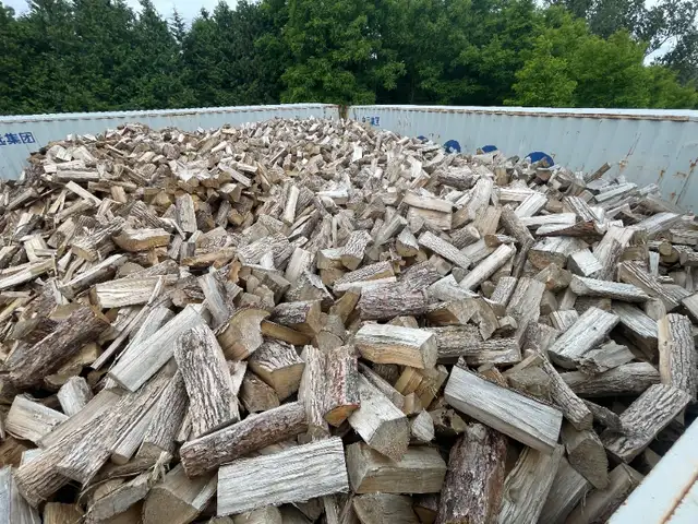 Seasoned Hardwood Firewood for Sale - Delivery Available in Fireplace & Firewood in Oshawa / Durham Region - Image 3