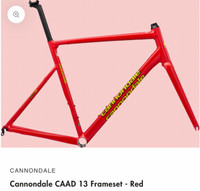 Cannondale CAAD 13 54 cm Frameset - Red / Saeco LTD Edition Fram