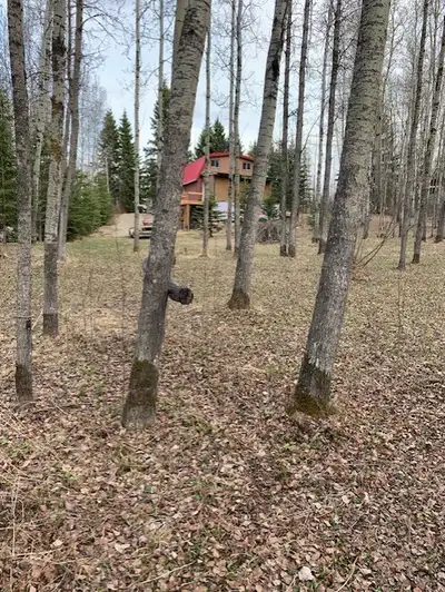 Semi-Waterfront lot with Cabin in Wizard Heights for sale. Half acre treed lot with path to the wate...