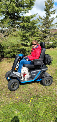Wrangler 2 Baja mobility cart