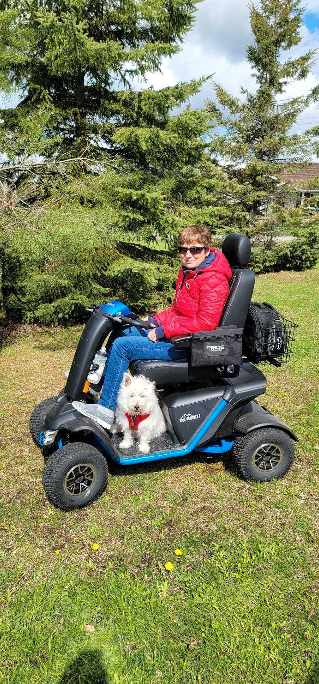 Wrangler 2 Baja mobility cart in Health & Special Needs in Belleville
