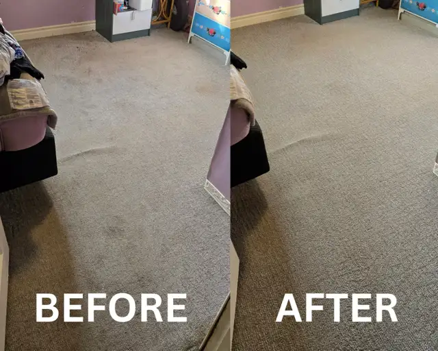 Carpet Cleaning Belleville in Cleaners & Cleaning in Belleville - Image 3