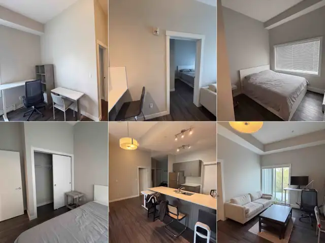 Gorgeous Top-Floor Apartment in Old Strathcona