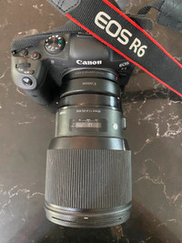 Canon EOS R6, Sigma art 85mm 1.4, RF 24-105mm, Sigma art 35mm1.4