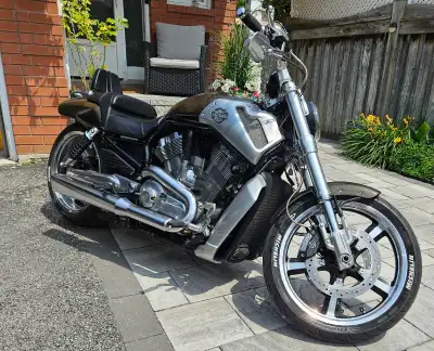 2009 Harley Davidson Vrod Muscle, driven 25,000 miles, well maintained, oil changes, brake fluid, cl...