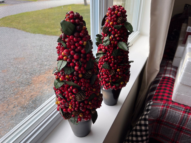 2 Cranberry Trees decorations  in Hobbies & Crafts in City of Halifax