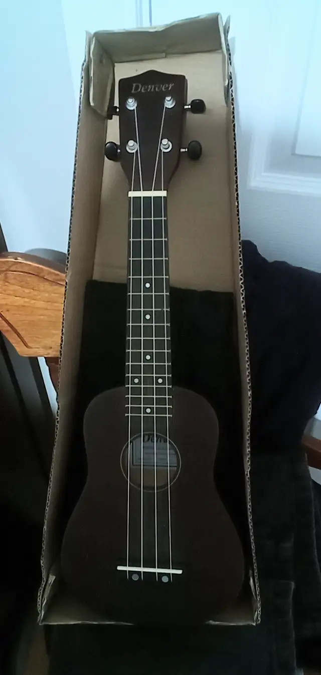 Musical equipment in Other in Corner Brook - Image 4