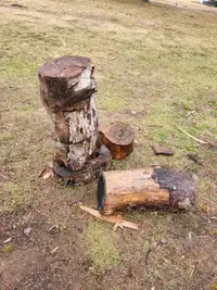 Free logs