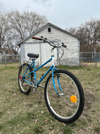 Raleigh BigHorn cruiser/commuter bicycle (womans)