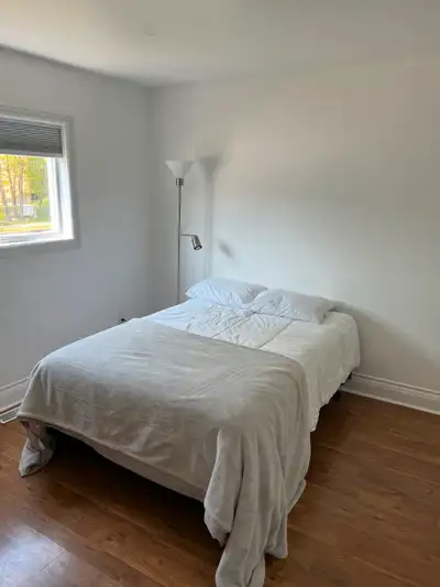 Large, bright, clean room in shared house, Albro Lake, Darmouth.