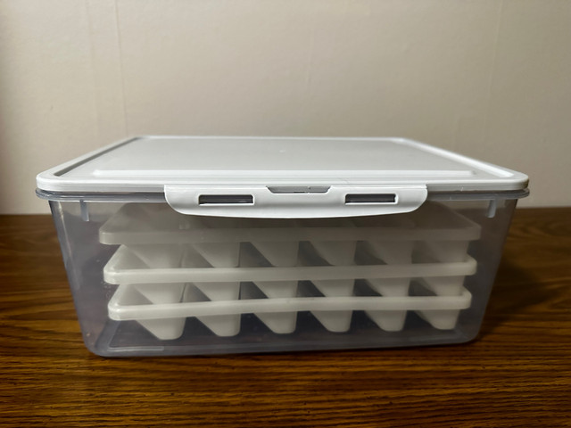 Ice Cube Trays with Locking Lid in Kitchen & Dining Wares in Regina - Image 2