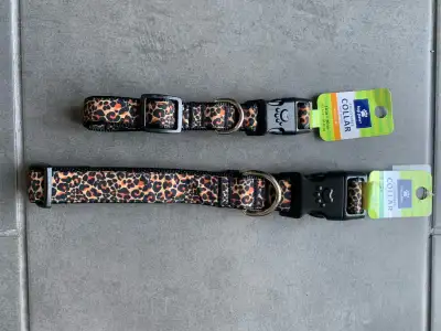 Dog collars, View more