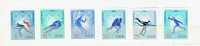 Allemagne de l'Est.  Série de 8 timbres "Winter Games, 1968."