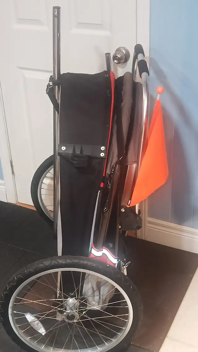 Wike “Chariot” Premium Double Children's Bike Trailer, Jogger. in Strollers, Carriers & Car Seats in City of Toronto - Image 7