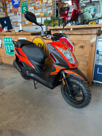 Kymco Super 8 50 2023 scooter 