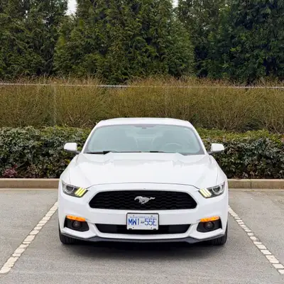 Private Sale, Rebuilt Title: 2016 Ford Mustang Ecoboost Premium S550 Spring is here, grab the perfec...