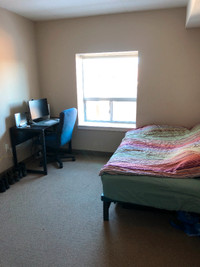 Sublet: Furnished Ensuite Student Apartment for Fall Term 2024