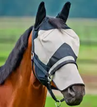 Équitation : Filet de pâturage Cashel Equestar