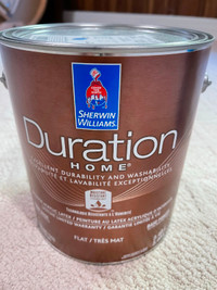 Sherwin Williams Duration Home Flat Latex Paint - Lupine Color