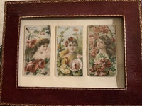 Rare 1892 Lithograph Trade Cards “Floral Beauties” Series N75