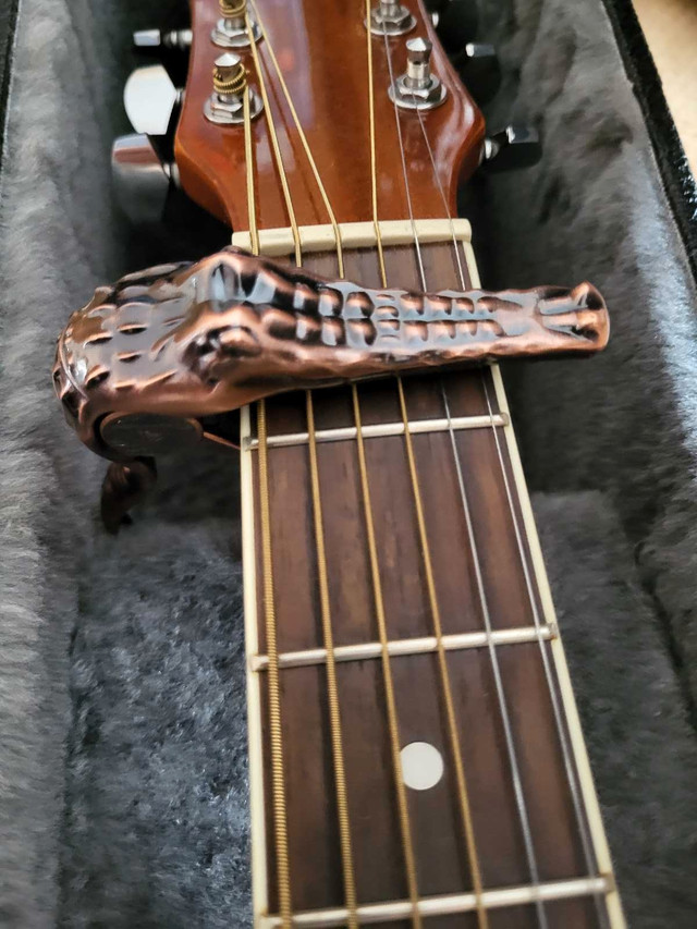 Oscar Schmidt Guitar in Guitars in Calgary - Image 2