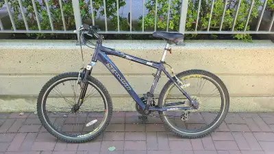 Schwinn Mountain Mesa Bike, View more