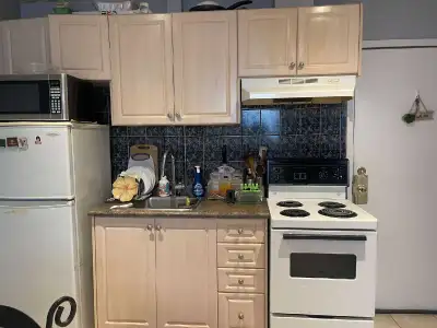 1 BDRM Private Apt. Dwntwn Oshawa
