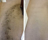 Rug & Carpet Cleaning With Advanced And Best Equipments