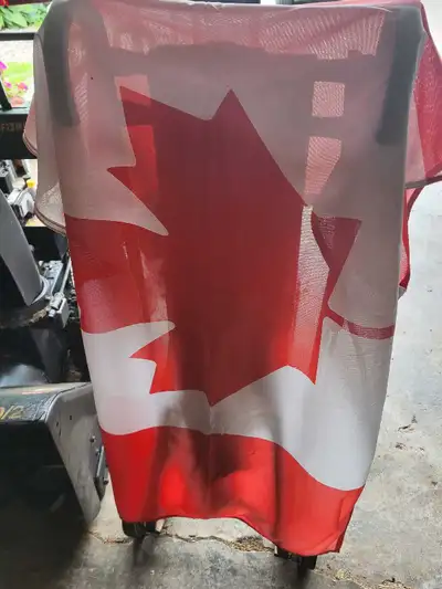 Canadian Flags x2, View more