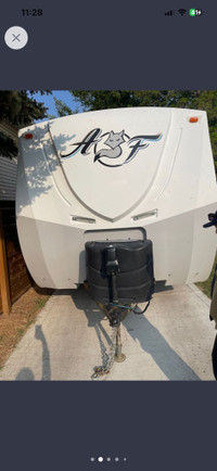arctic fox in Canada - Kijiji Canada