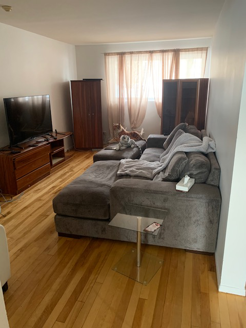 Longueuil, Fréchette grand 41/2 au demi sous-sol